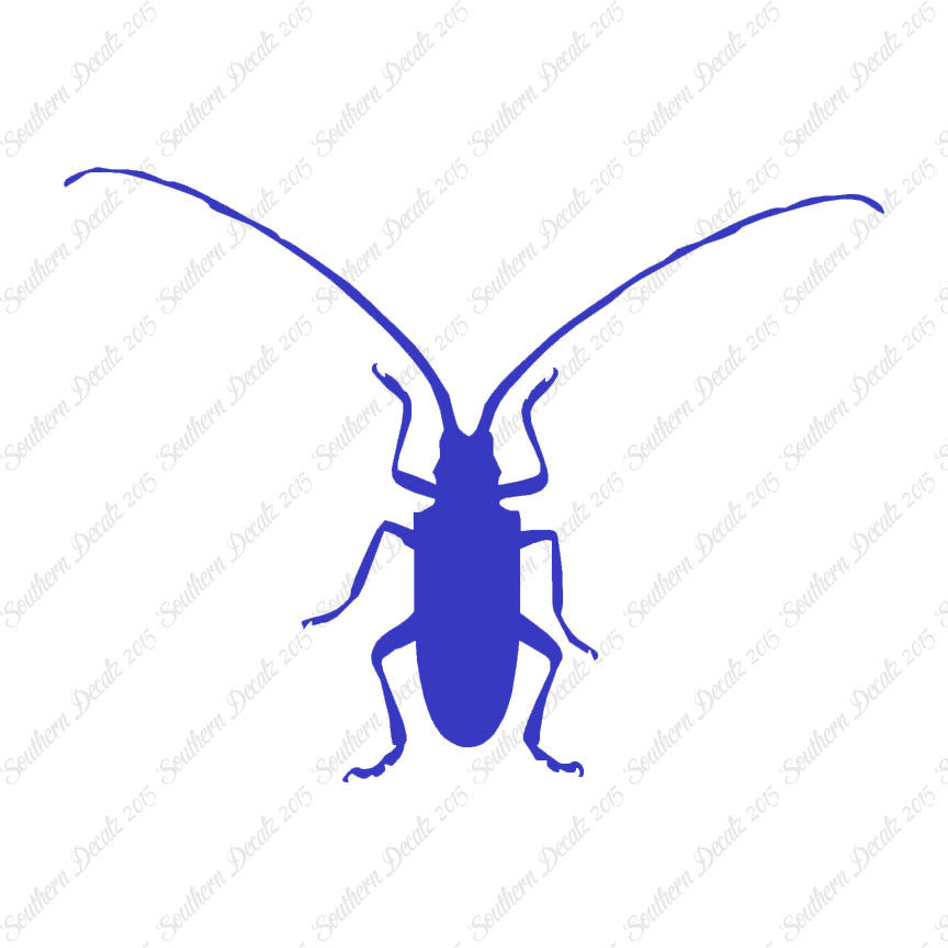 Longhorn Beetle