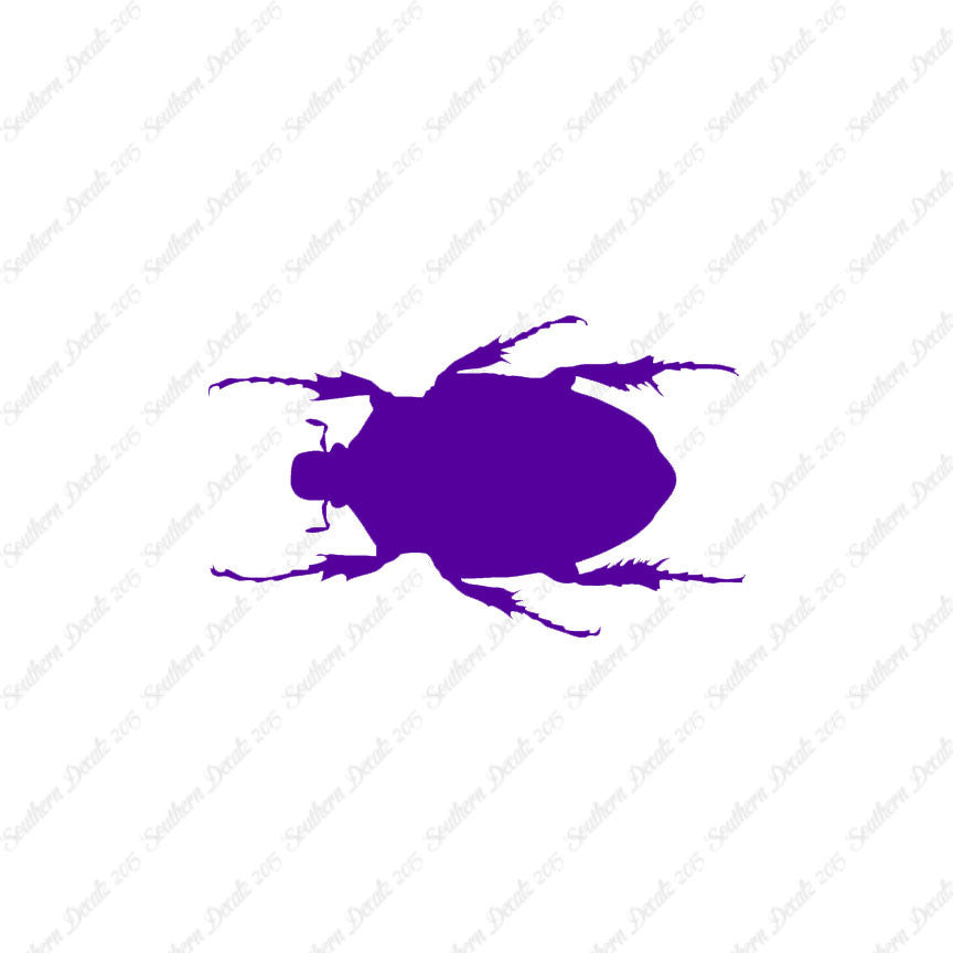 Black House Beetle