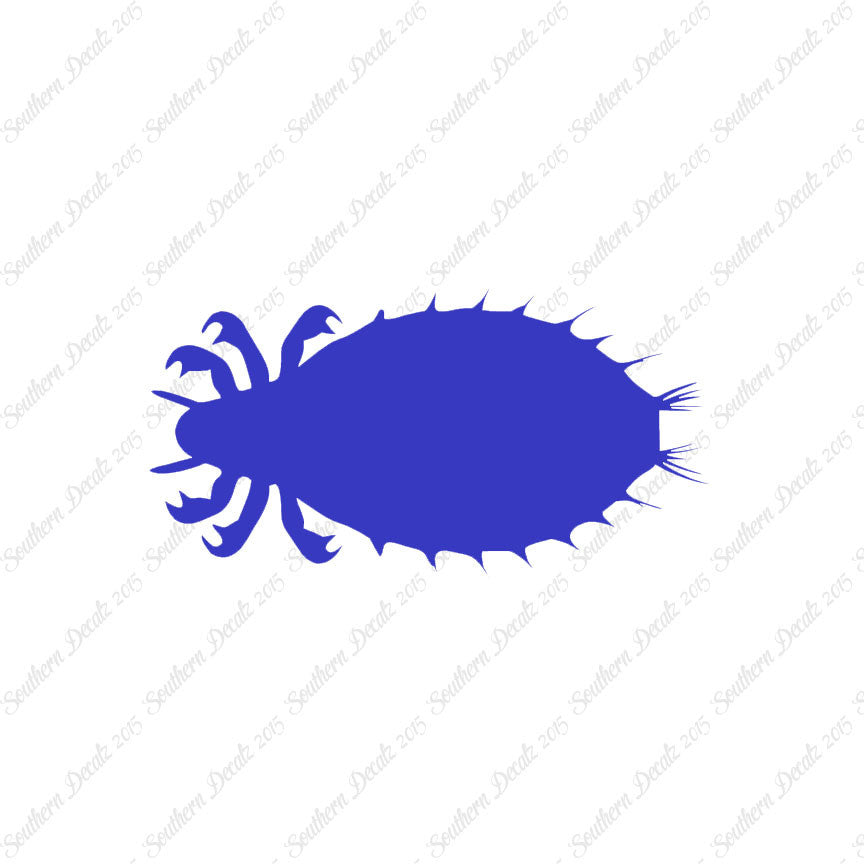 Flea Louse Bed Bug Insect