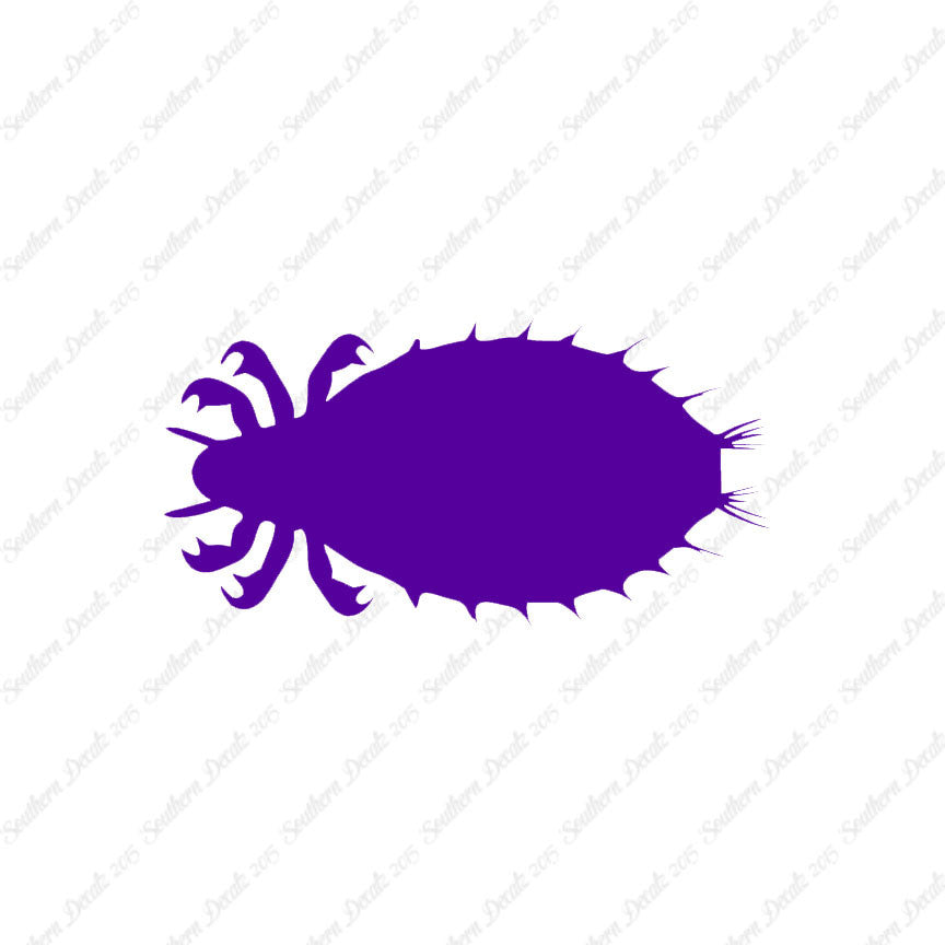 Flea Louse Bed Bug Insect
