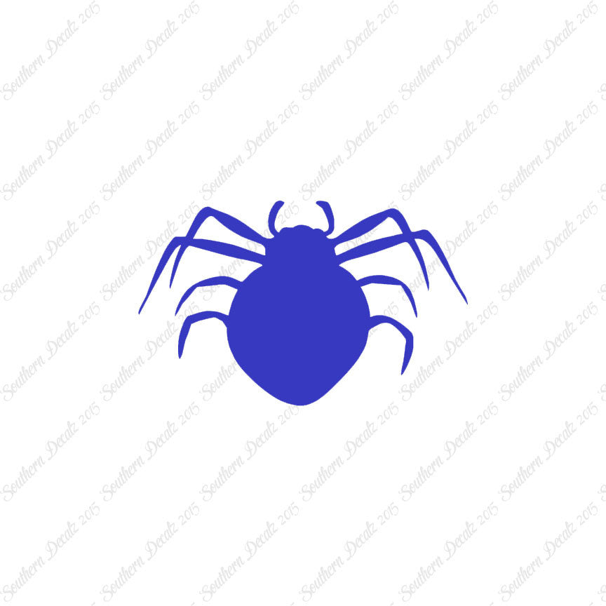 Spider Arachnid