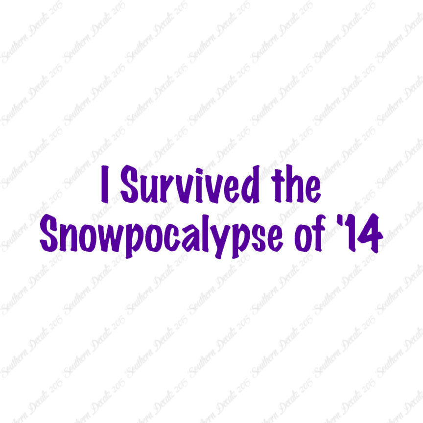 Survived Snow pocalypse