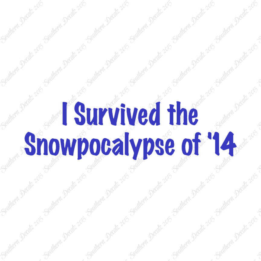 Survived Snow pocalypse