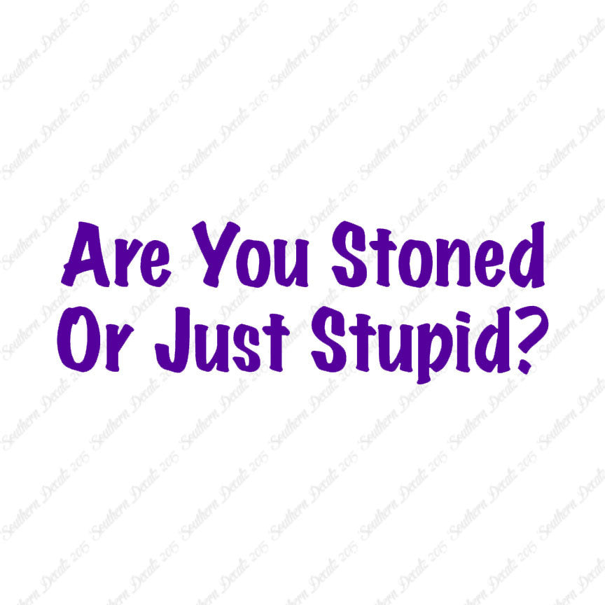 Stoned Or Stupid