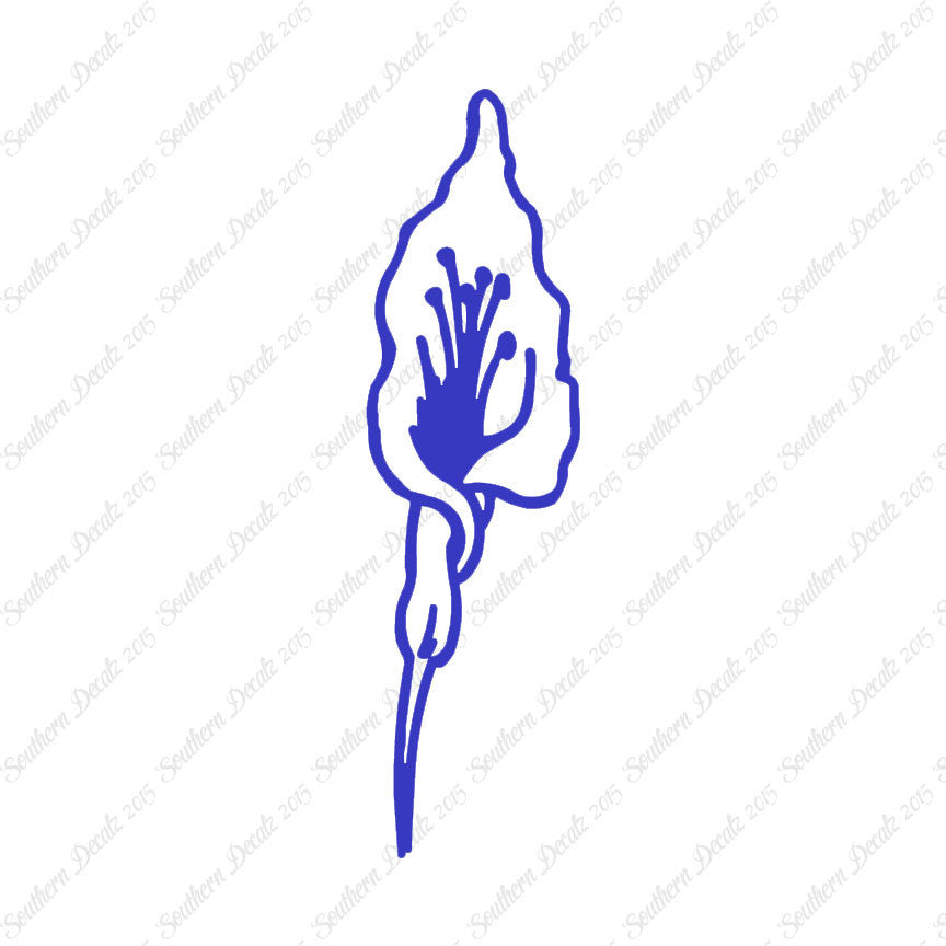 Calla Lilly Flower