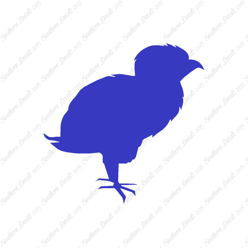 Baby Chicken Chick Poultry