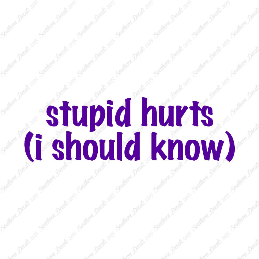 Stupid Hurts I Should Know