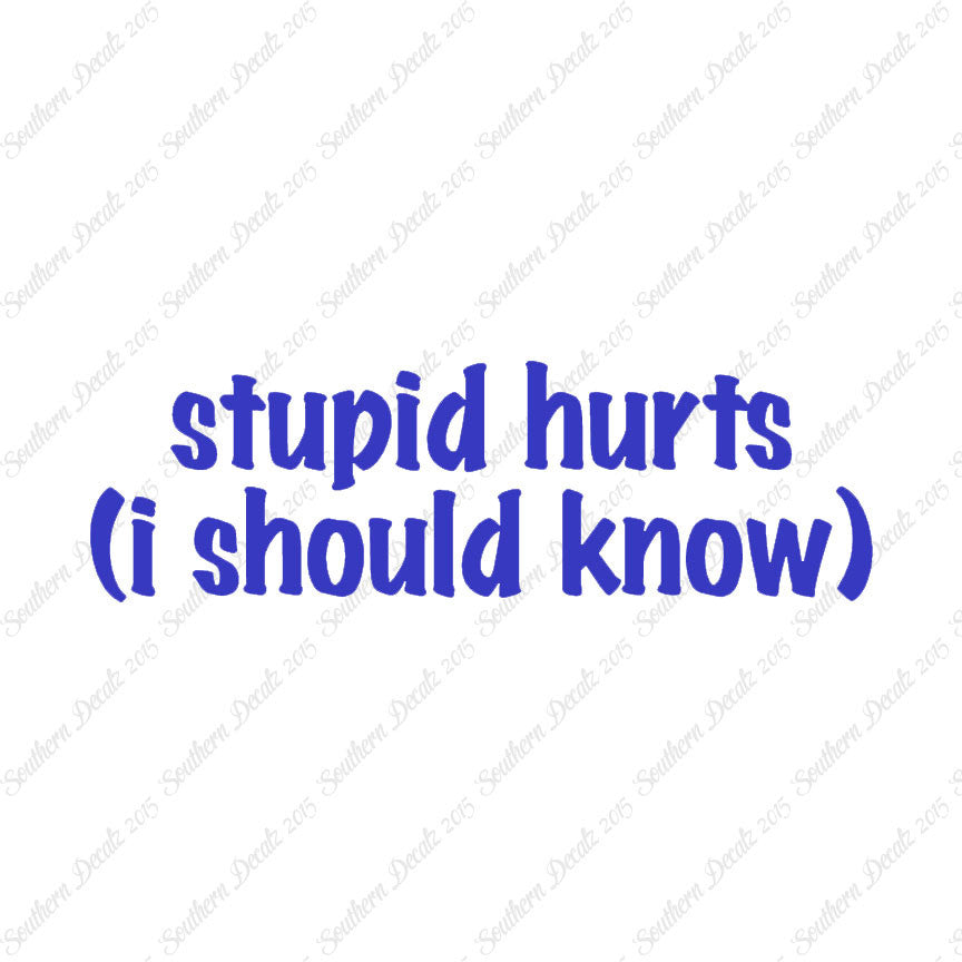 Stupid Hurts I Should Know