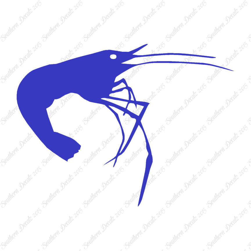 Shrimp Prawn