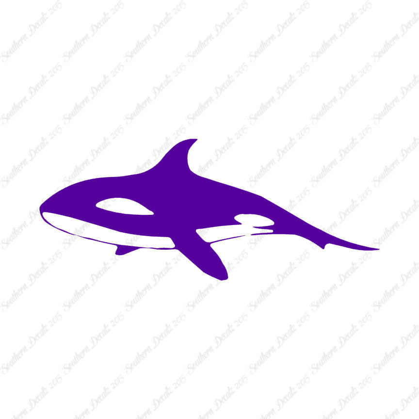 Orca Killer Whale