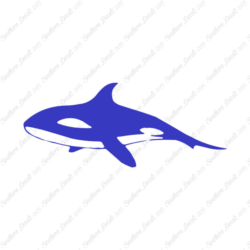 Orca Killer Whale