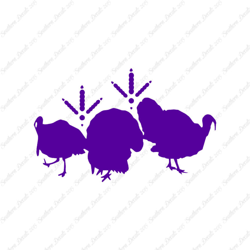 Turkeys & Turkey Tracks