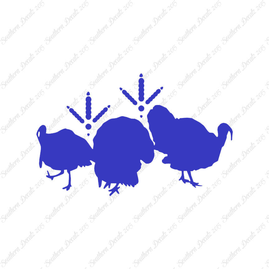 Turkeys & Turkey Tracks