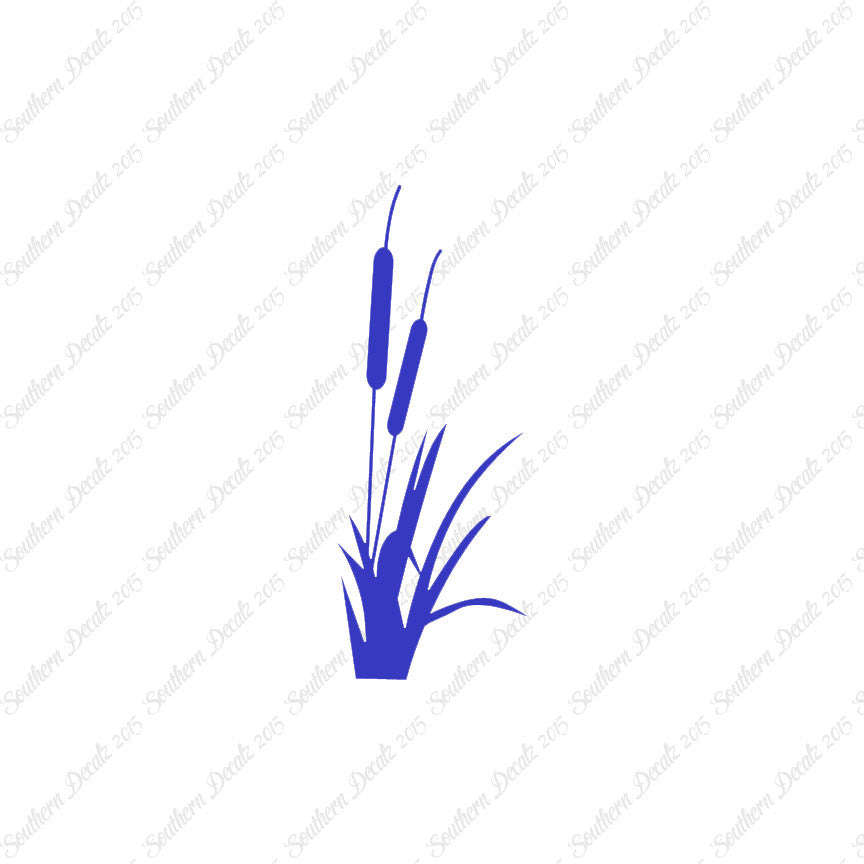 Cattail Typha Water Plant