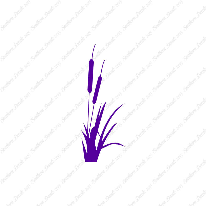 Cattail Typha Water Plant