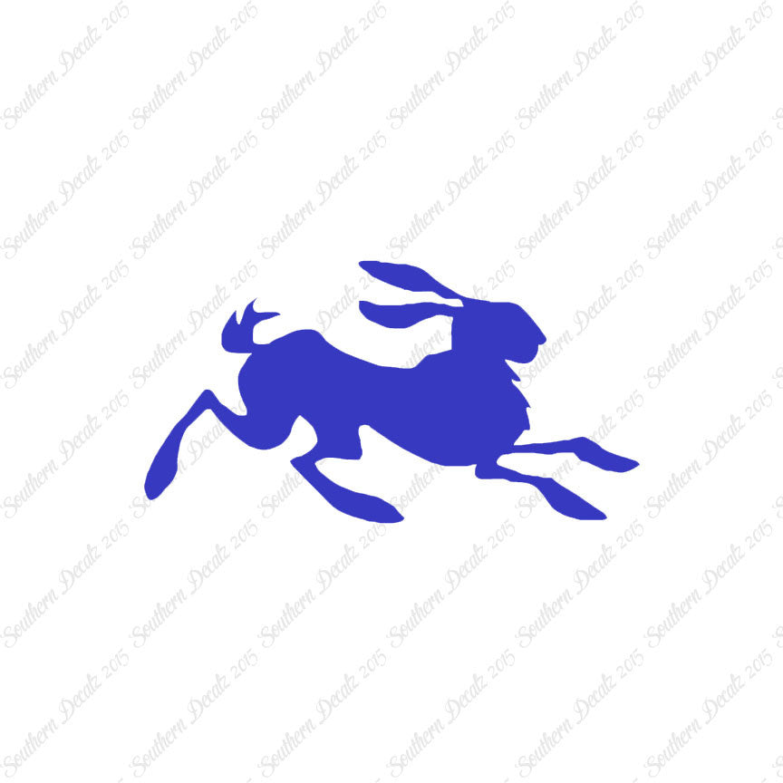 Rabbit Jackrabbit Bunny