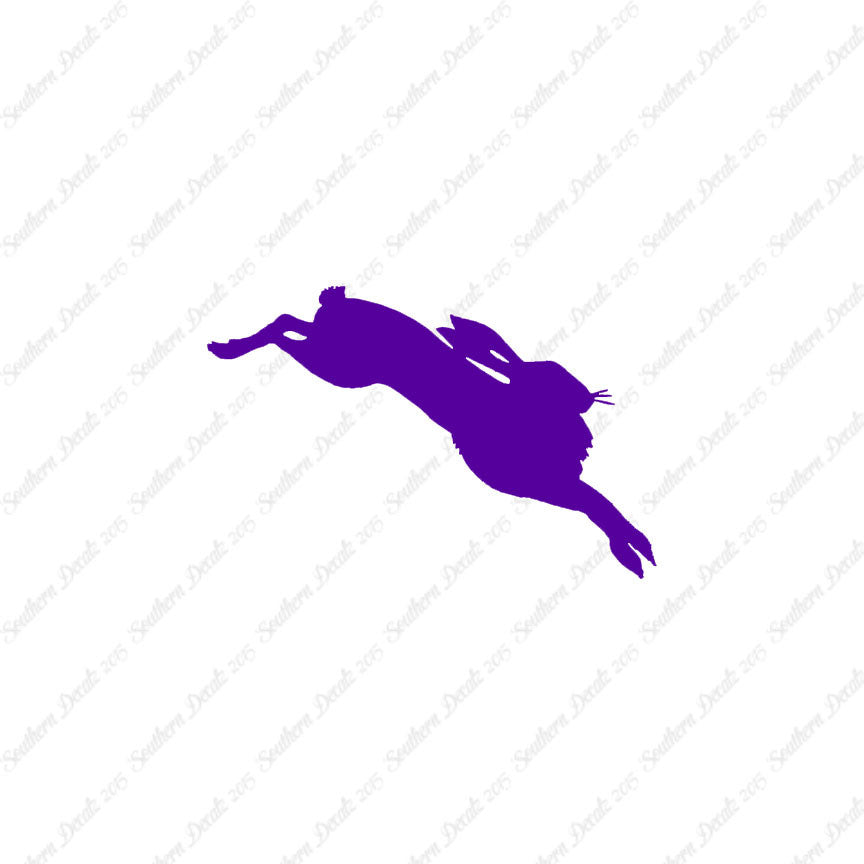 Jackrabbit Rabbit Bunny