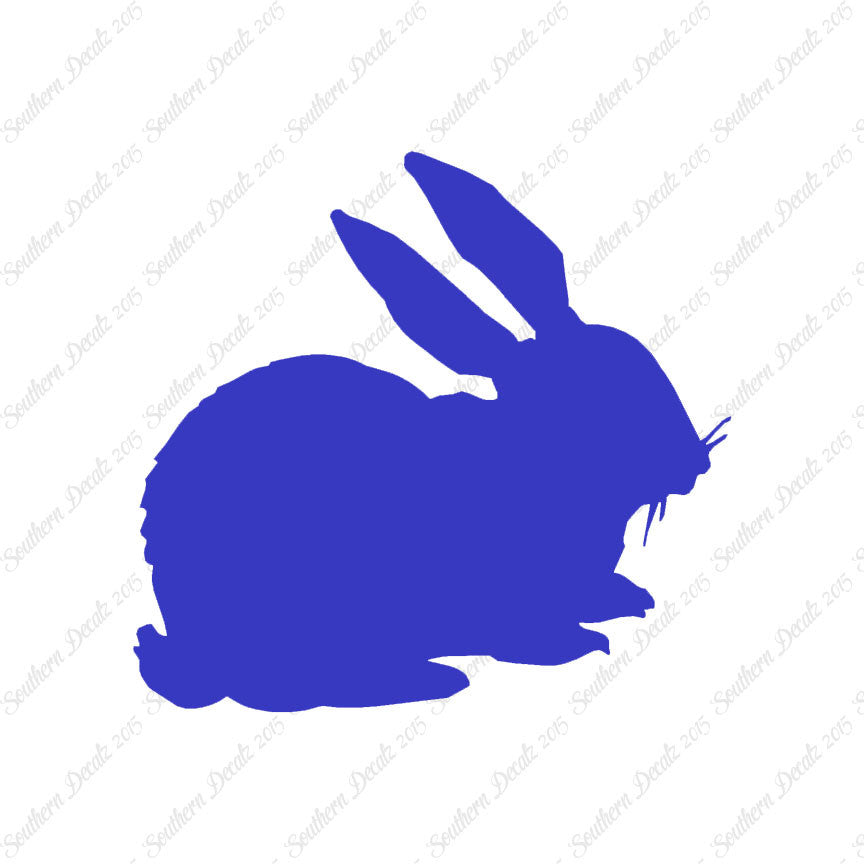 Rabbit Bunny