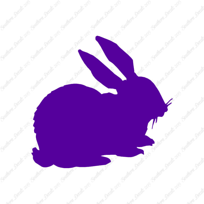 Rabbit Bunny