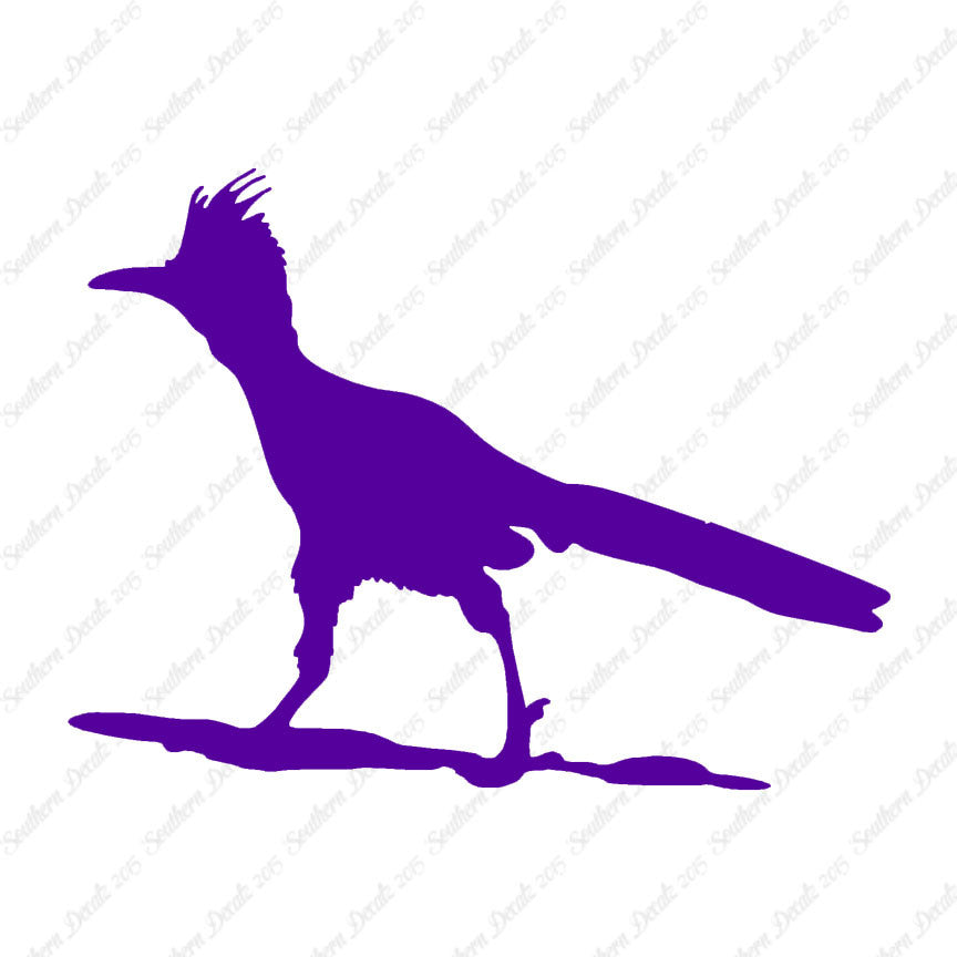 Bird Roadrunner