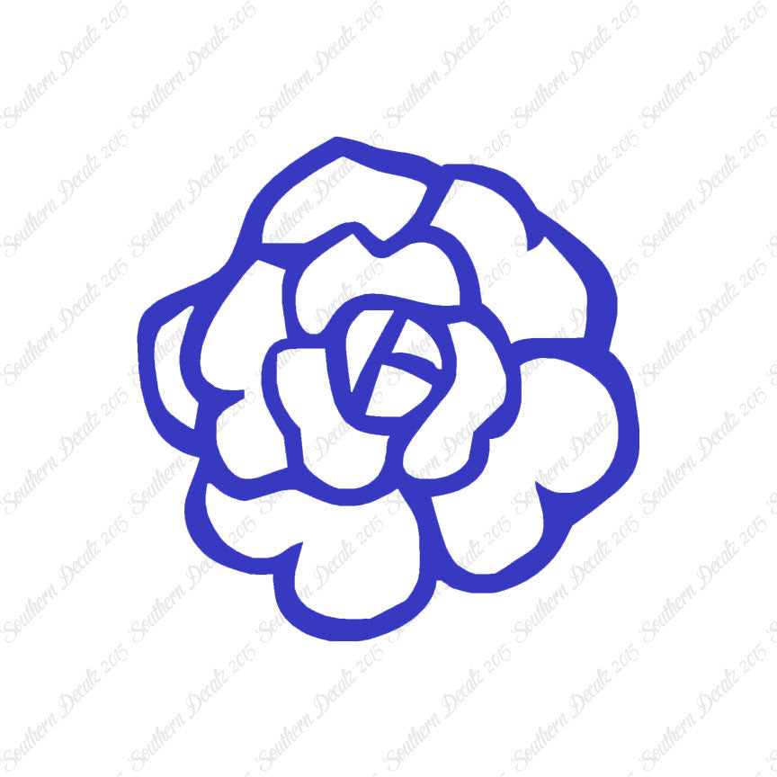 Flower Rose Carnation
