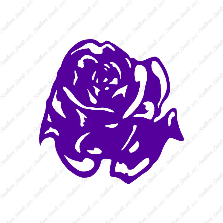 Carnation Rose Flower