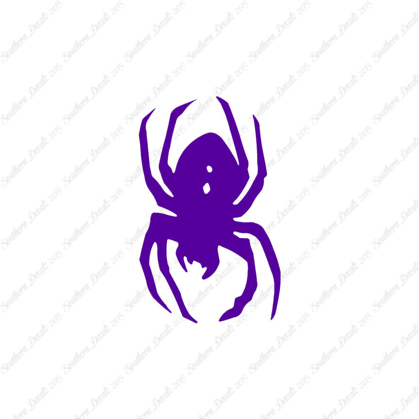 Black Widow Spider
