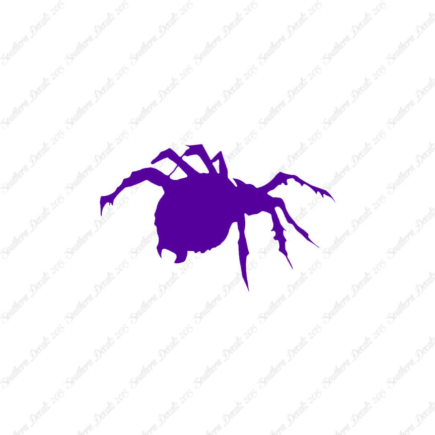 Tarantula Spider