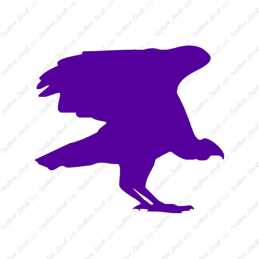 Vulture Bird Condor