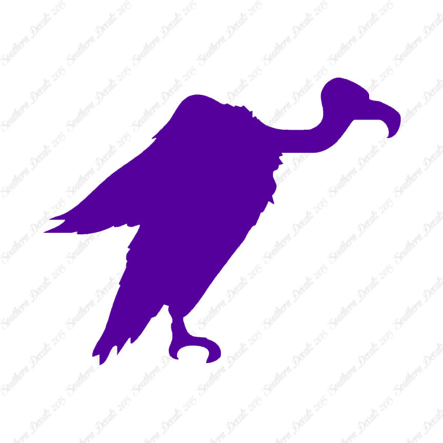 Vulture Condor Bird