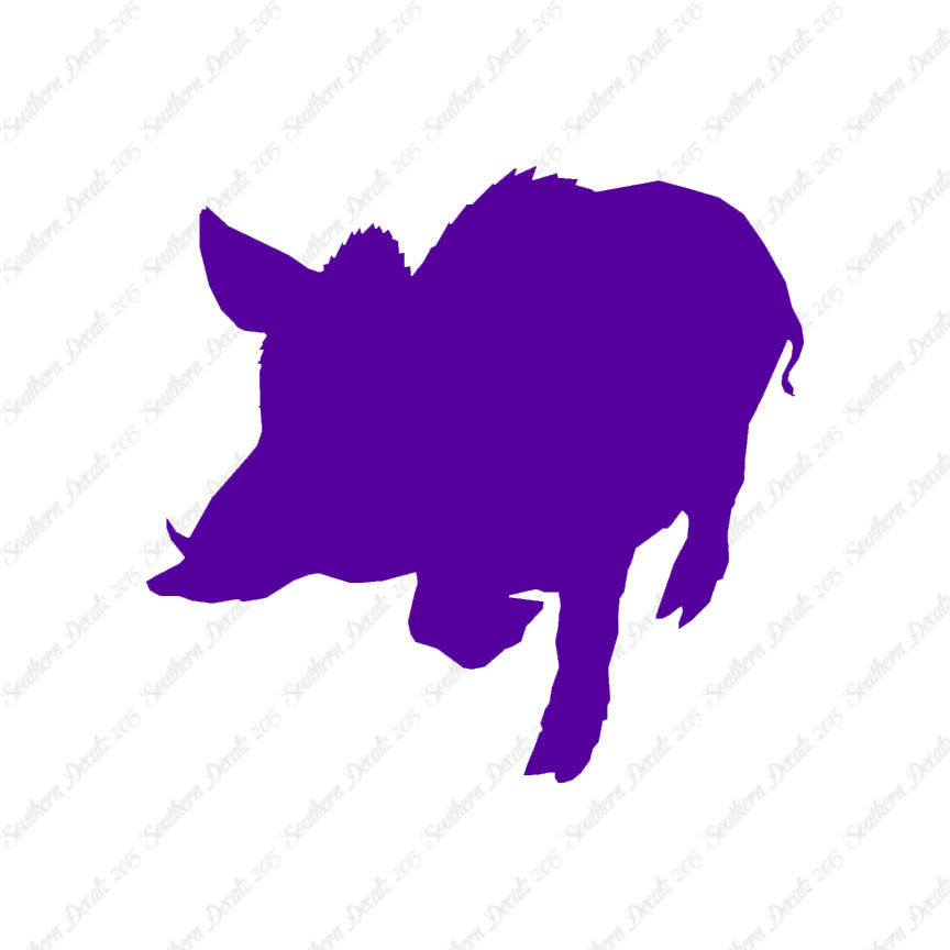 Wild Pig Boar