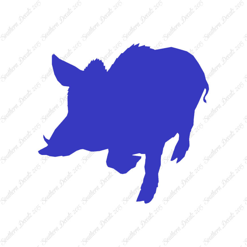 Wild Pig Boar