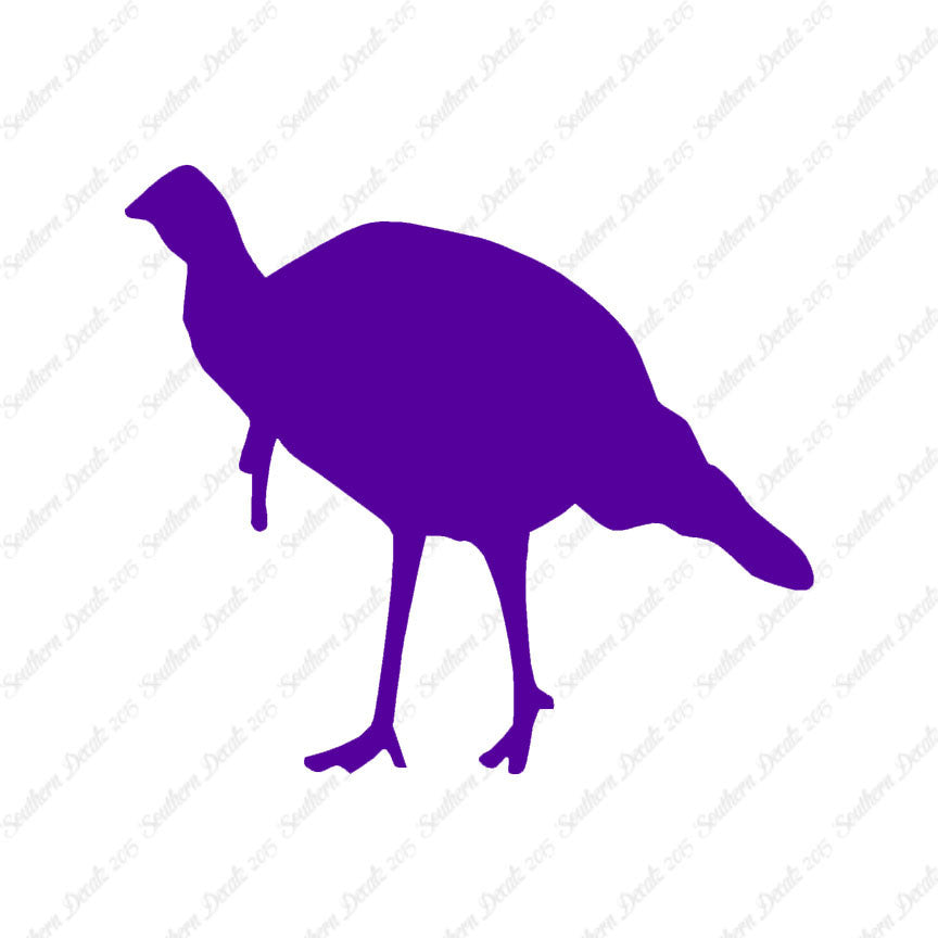 Wild Turkey Game Bird