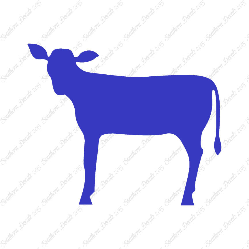 Calf Cattle Cow Steer