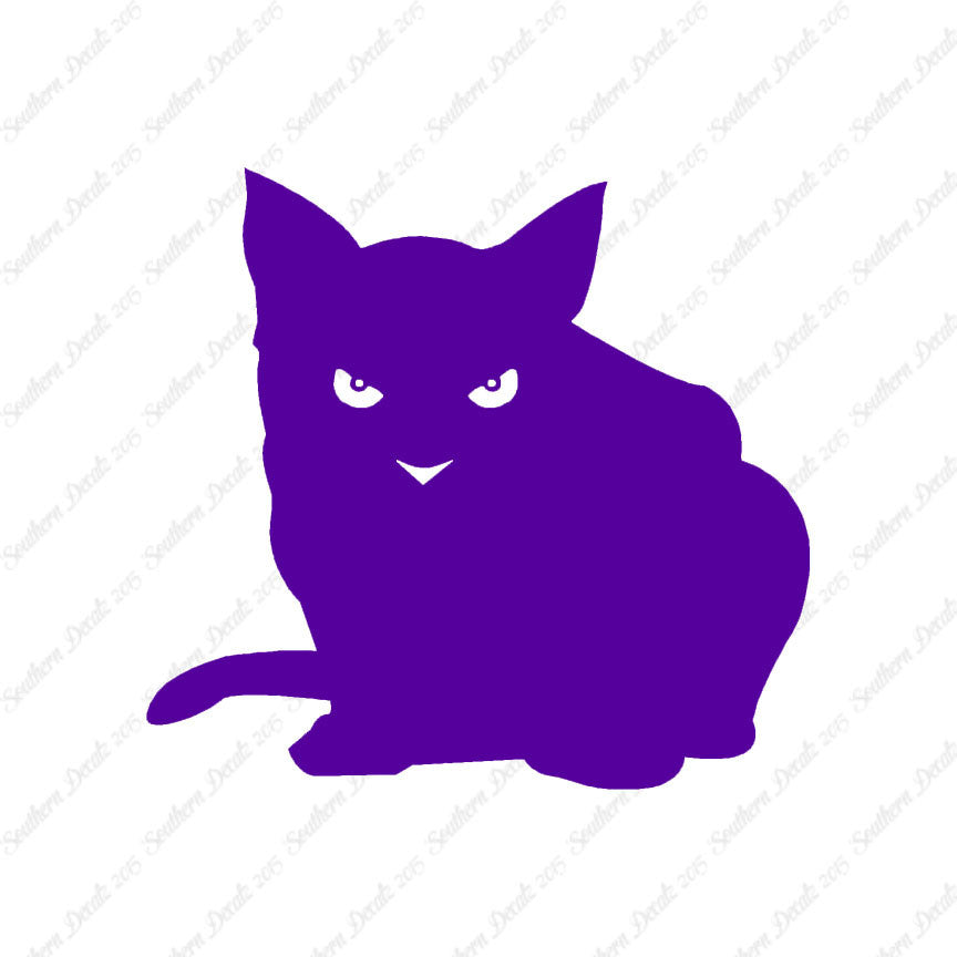 Cat Eyes Kitten