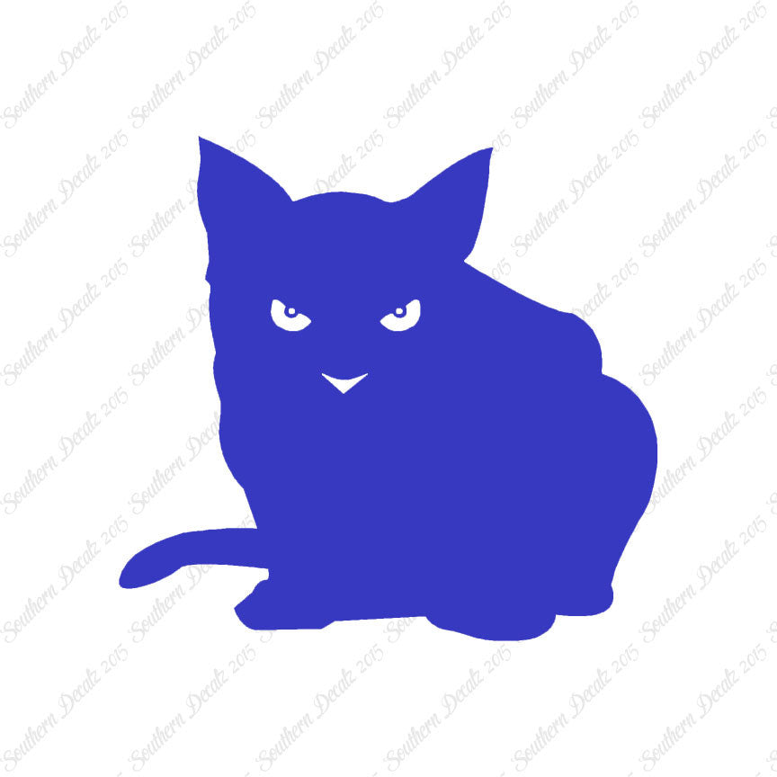 Cat Eyes Kitten