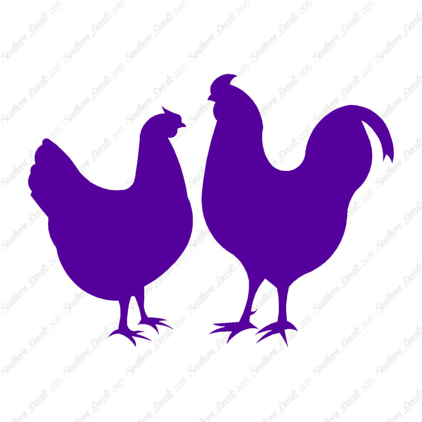 Chicken Rooster Bird