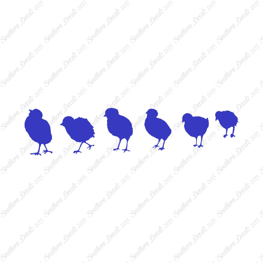 Chicks Poultry Chicken