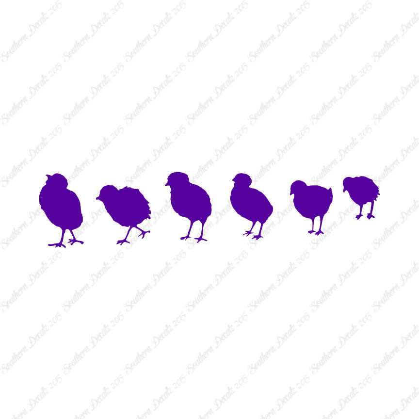 Chicks Poultry Chicken
