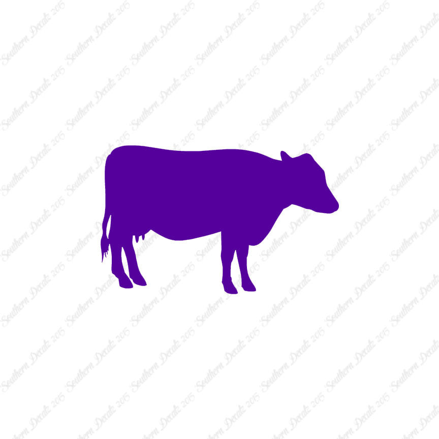 Cow Cattle Bull Steer