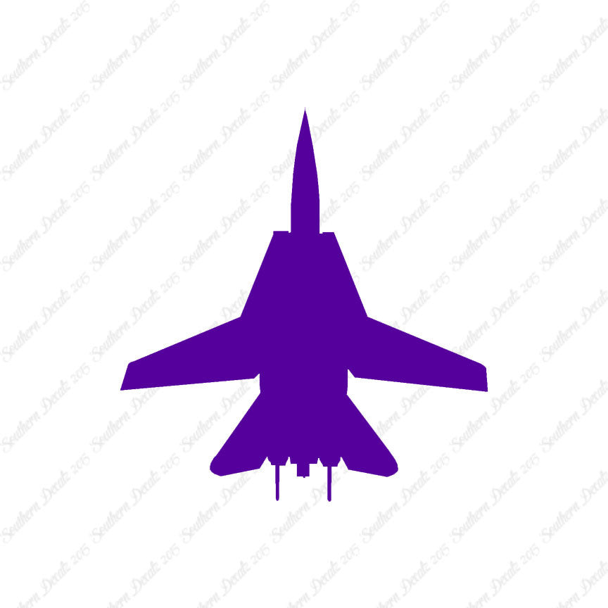 F14 Fighter Jet Airplane