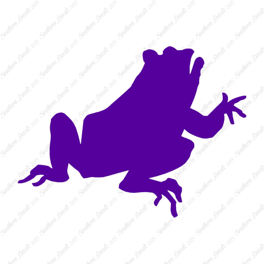 Frog Bullfrog Toad