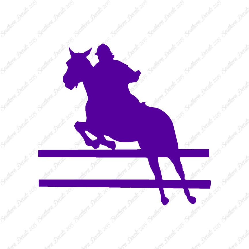 Show Horse Jumping