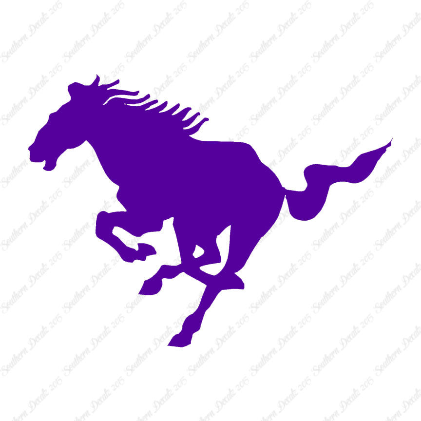 Running Horse Galloping