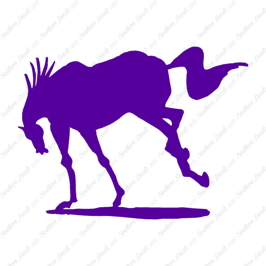 Rearing Horse Stallion