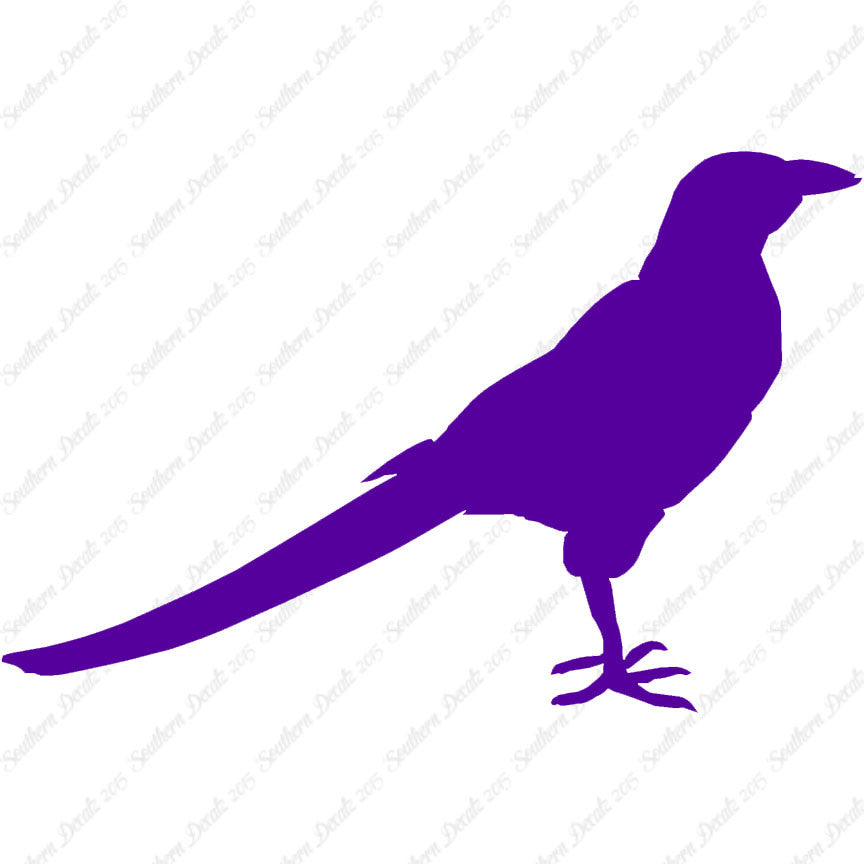 Magpie Crow