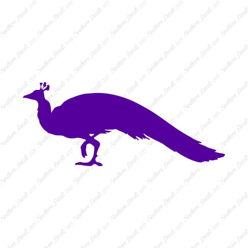 Peacock Bird