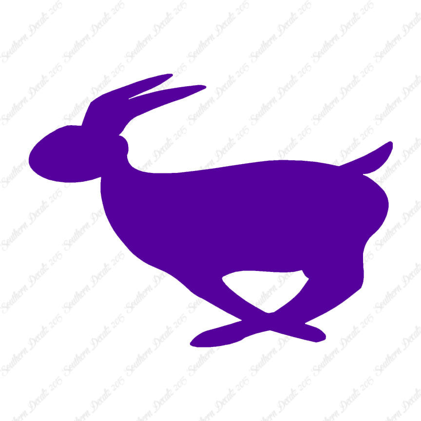 Rabbit Bunny Running