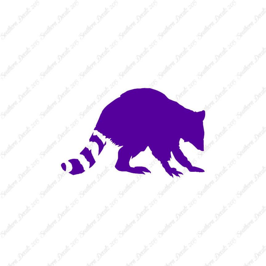 Raccoon