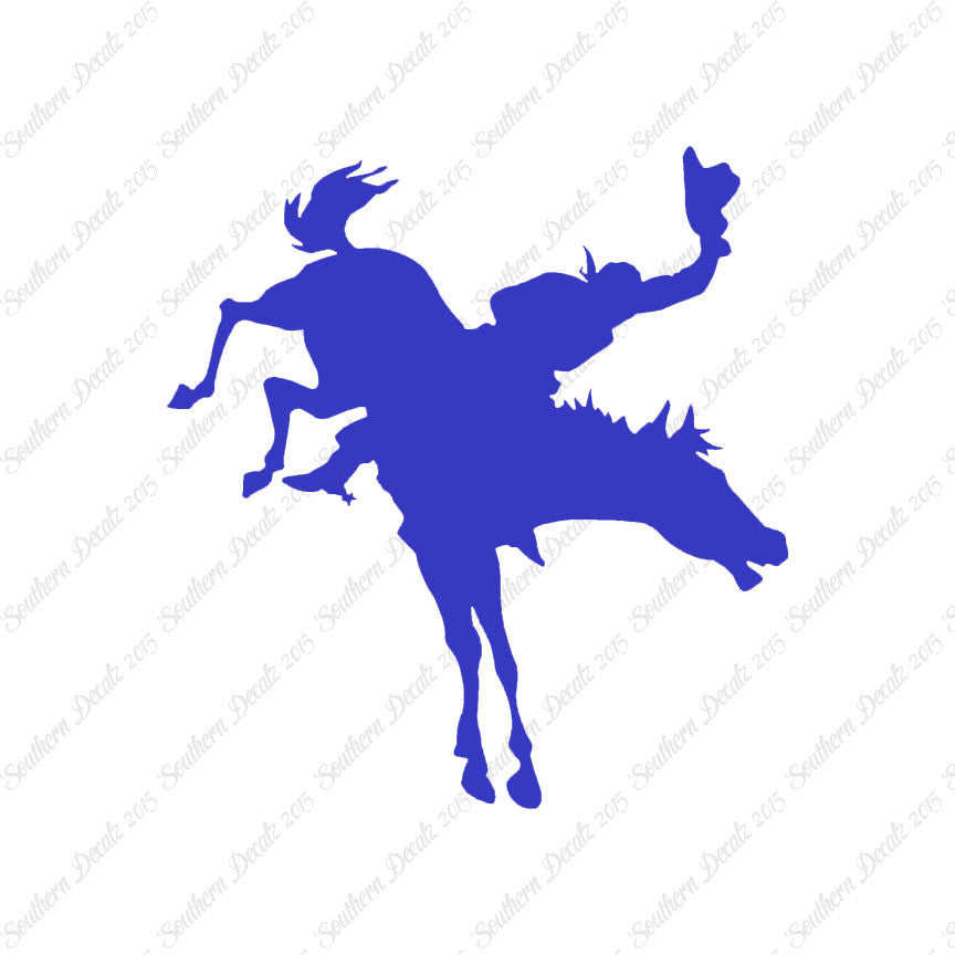 Rodeo Horse Stallion